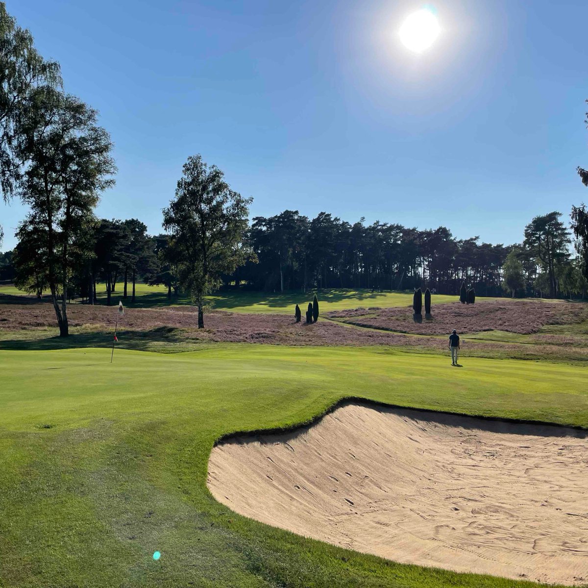 Leading Courses tweet media