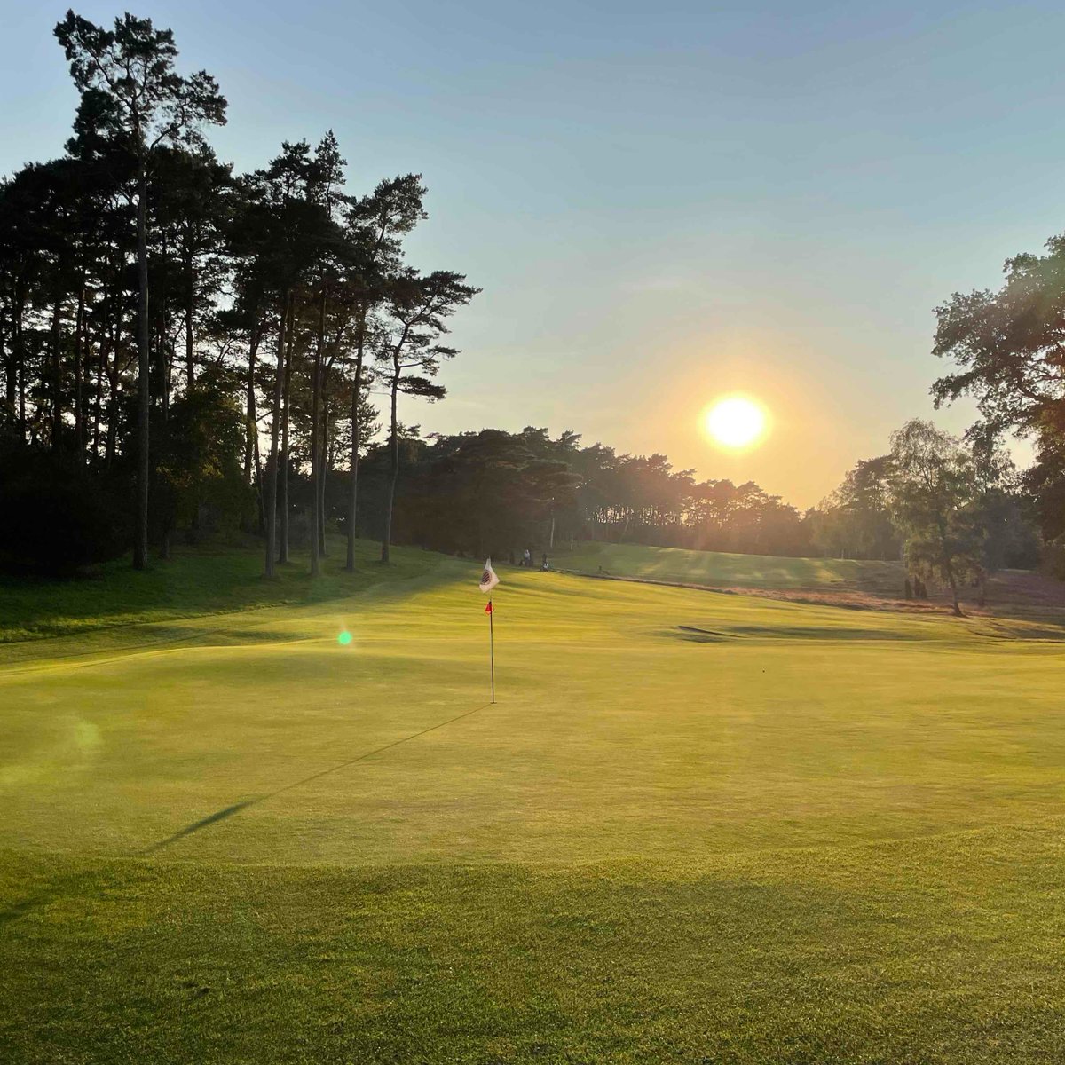 Leading Courses tweet media