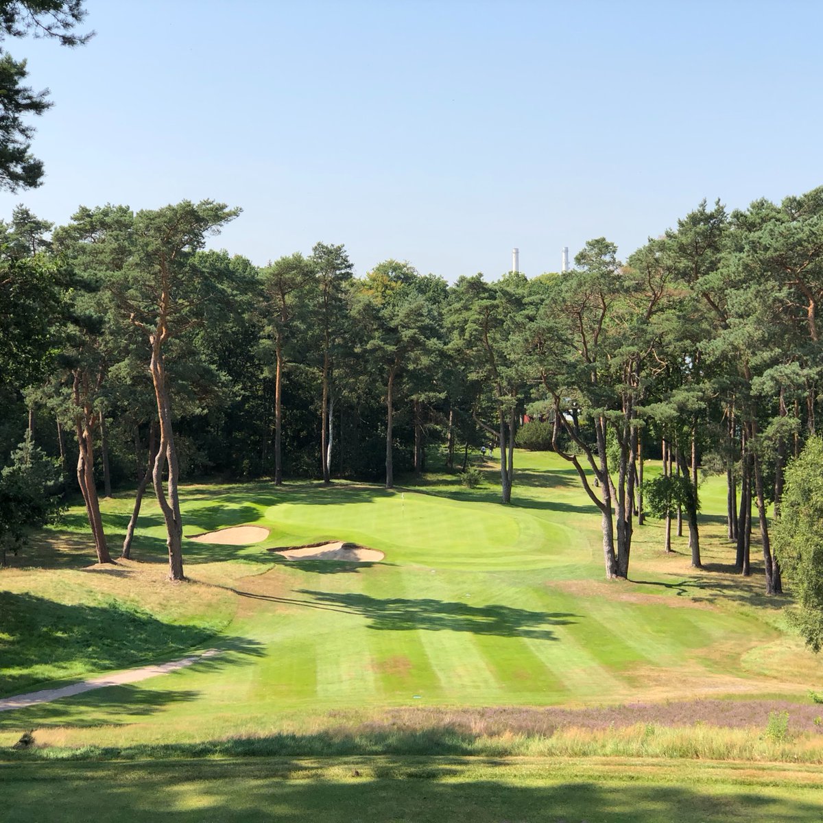 Leading Courses tweet media