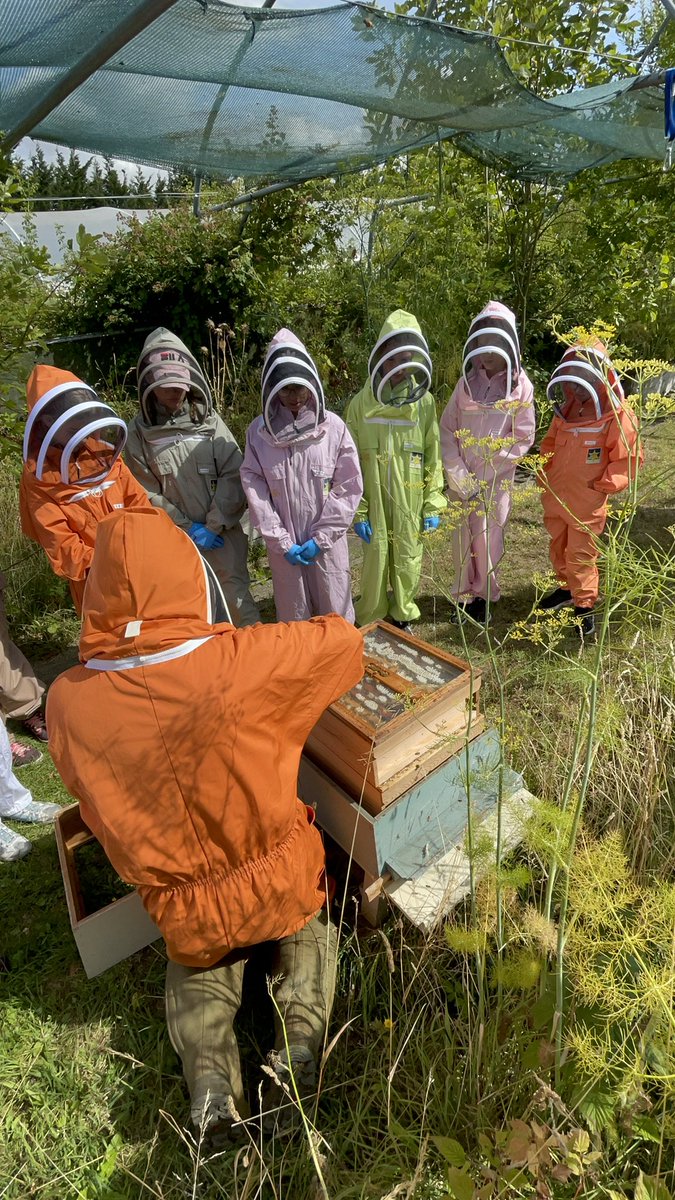 ArtisanHoneyCo's tweet photo. This weekend I had the pleasure of introducing these wonderful Girls to the world of beekeeping - the feedback has been incredible from the messages they sent to their parents 😊🐝 @B_J_Sherriff @britishbee @Girlguiding @apimondia @BBCRadioLincs @GranthamJournal @Amy_Claridge 🐝 https://t.co/MZnFymSk8z