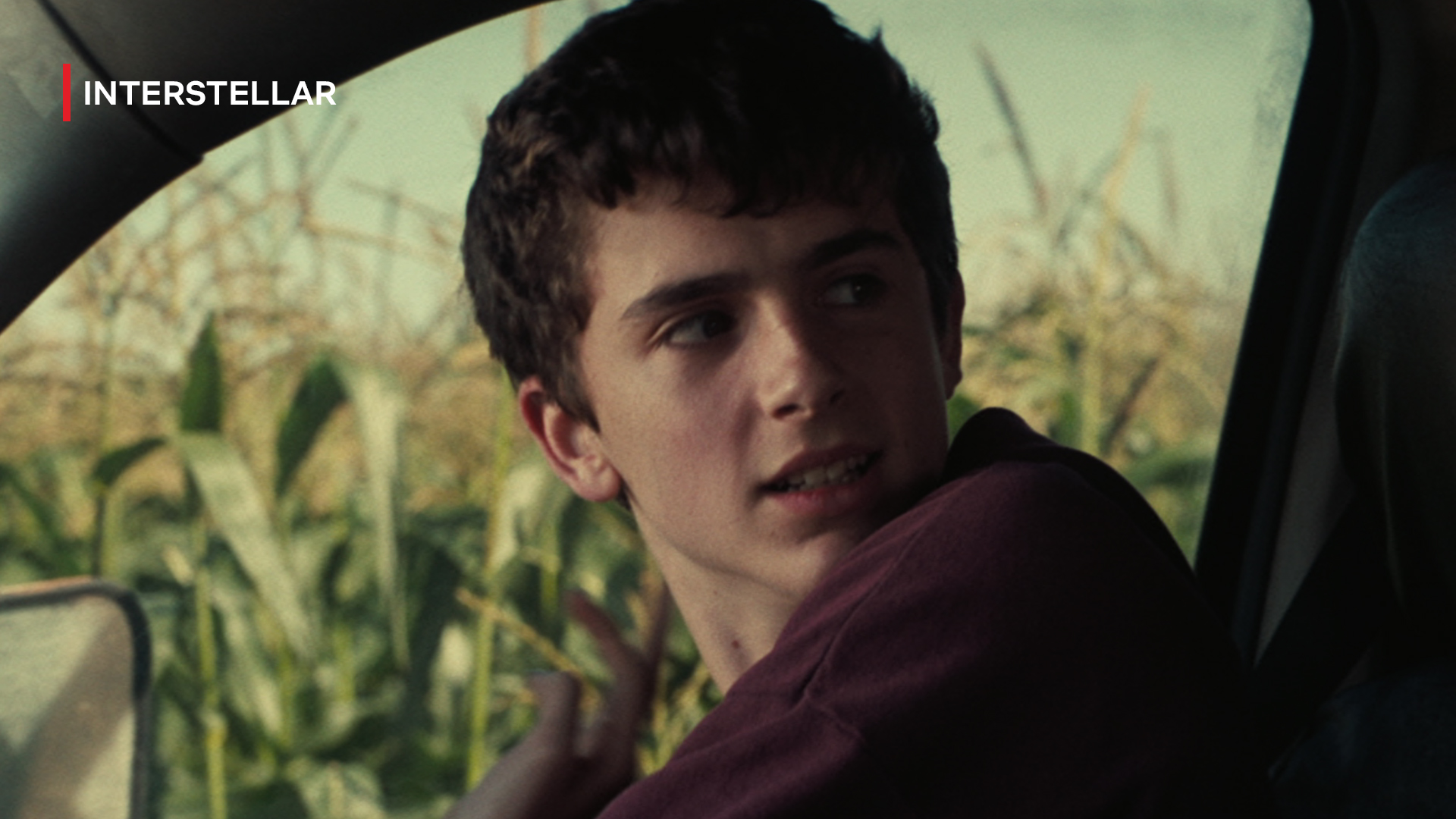 Netflix Indonesia on Twitter: "Sadarkah kamu kalo ada Timothée Chalamet