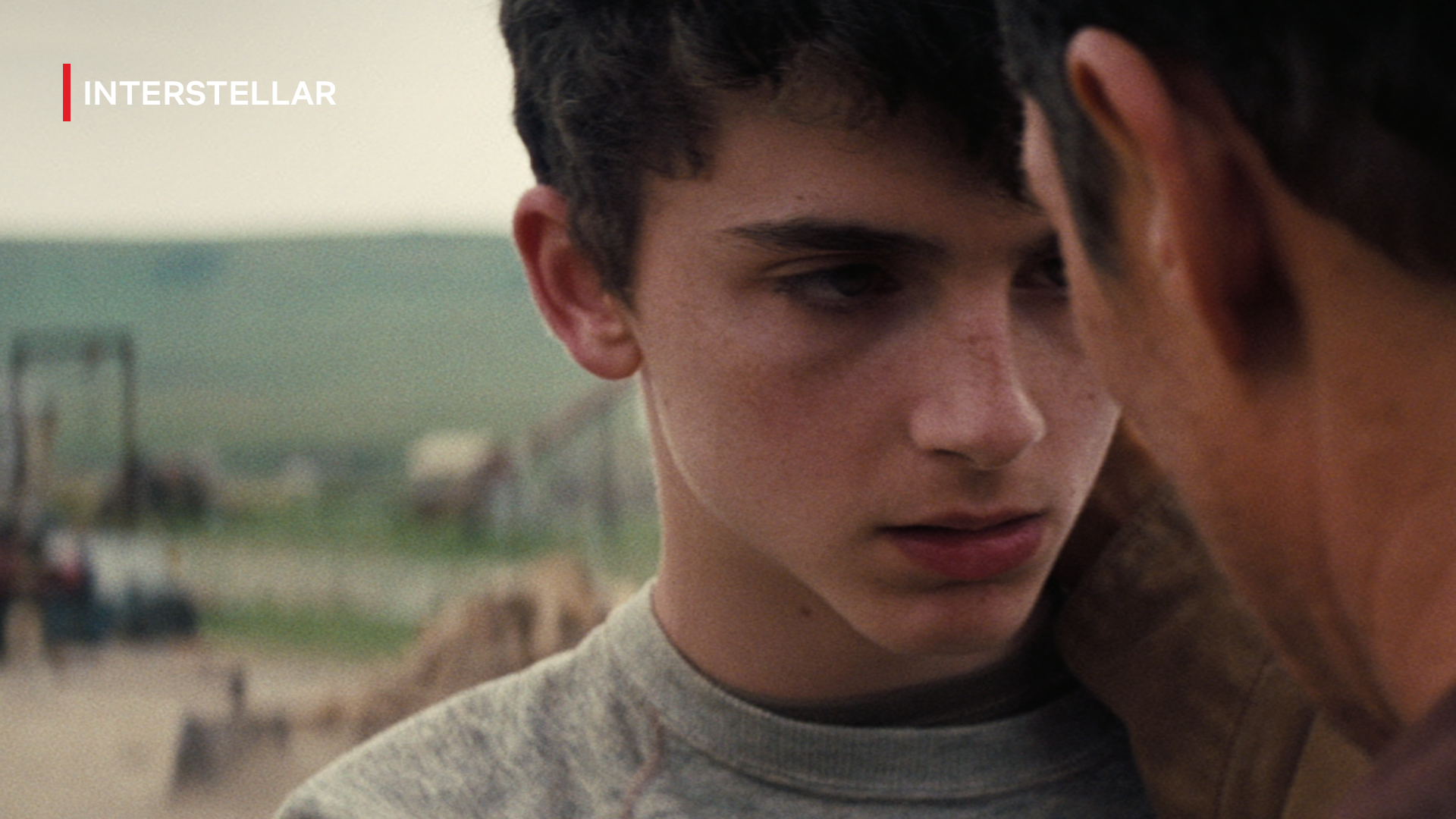 Netflix Indonesia on Twitter: "Sadarkah kamu kalo ada Timothée Chalamet