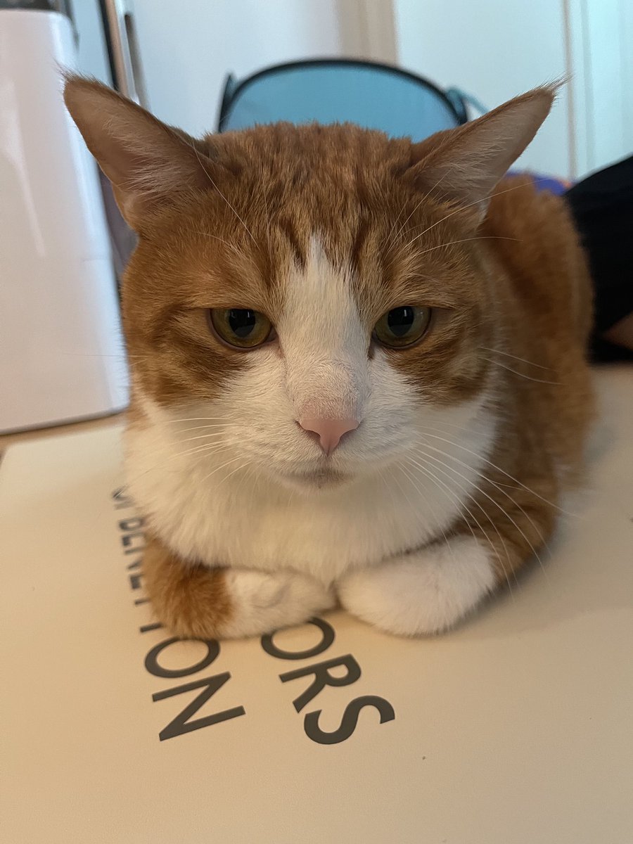 볼희의 하루(볼셰비키 혁명의 희망) (@lovethemoment30) on Twitter photo 