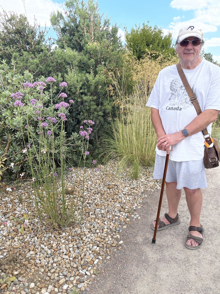 JudyAAlexander's tweet photo. A visit to the dry garden at the Royal Horticultural exhibition with my hubby. The garden hasn’t been watered in 20 years! https://t.co/DL4QAHug3Q