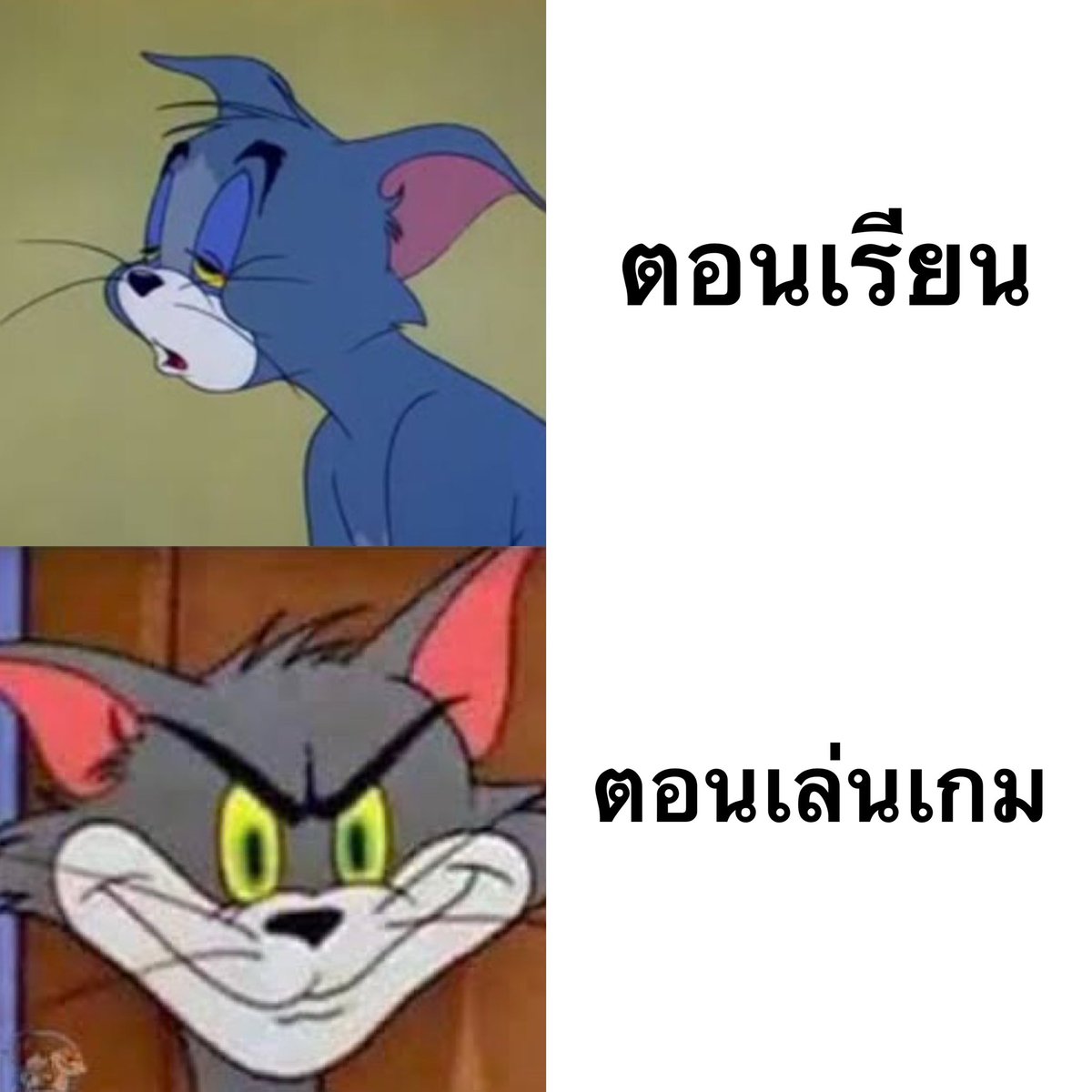 คนอยากเขียน. tweet media