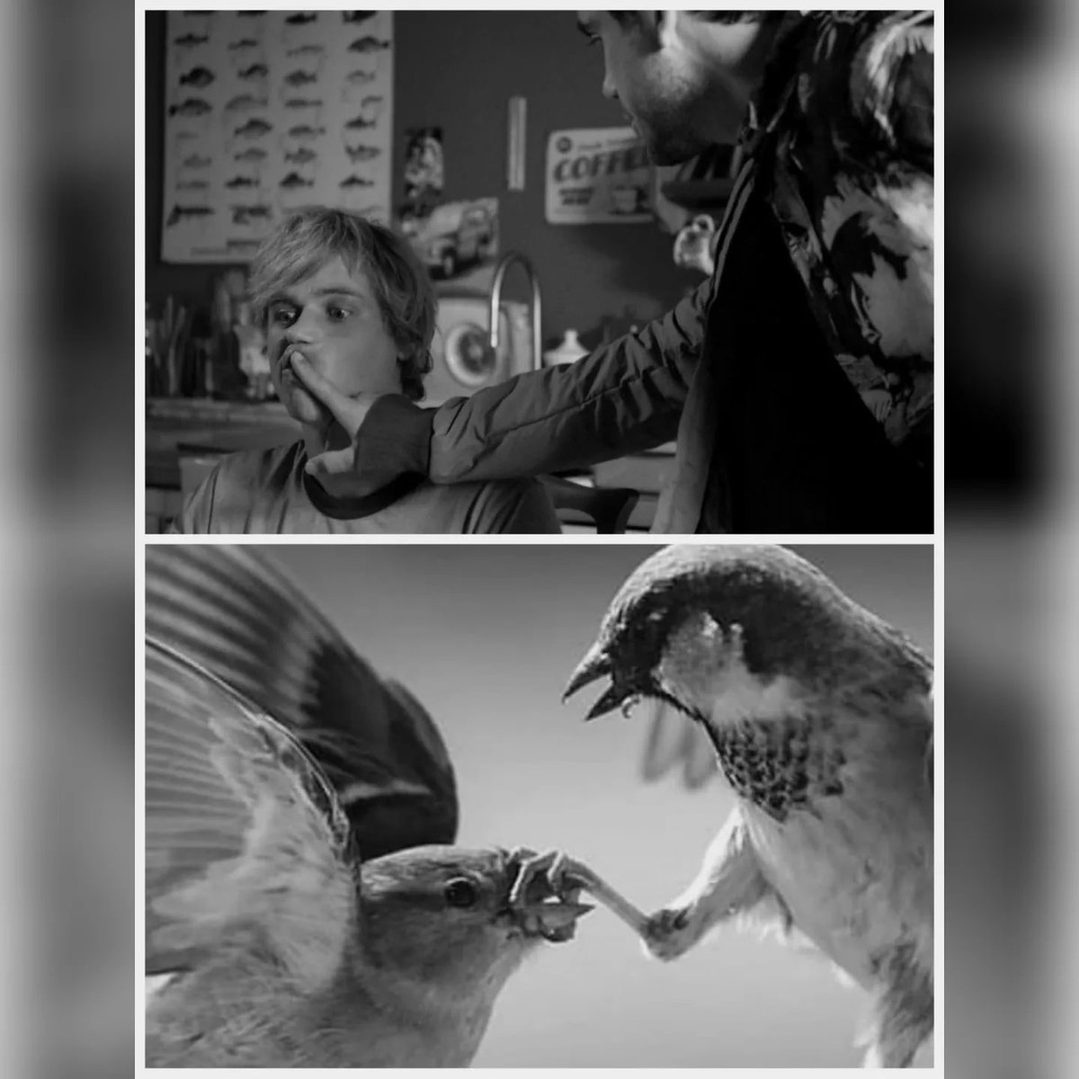 jflynnworld's tweet photo. A bird mood this Monday morning! 🦢🦅🦤 Have a great day and a positive start to the working week, everyone!
#JohnnyFlynn #Birds #ArtJFlynn #lovesick #Stardust2020 #Brotherhood #Beast2017 #Emma2020 #AnyaTaylorJoy #SongOne https://t.co/D5BYr5xeWL
