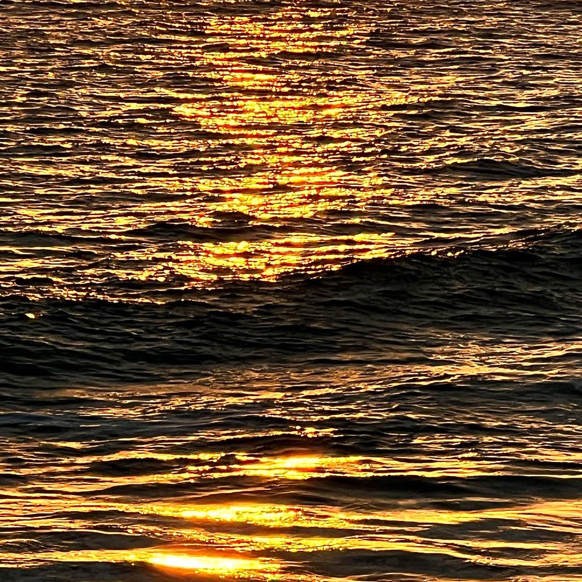 HEEEYARNOLD_'s tweet photo. to be alive in the sun… https://t.co/5dNQz4GvRz