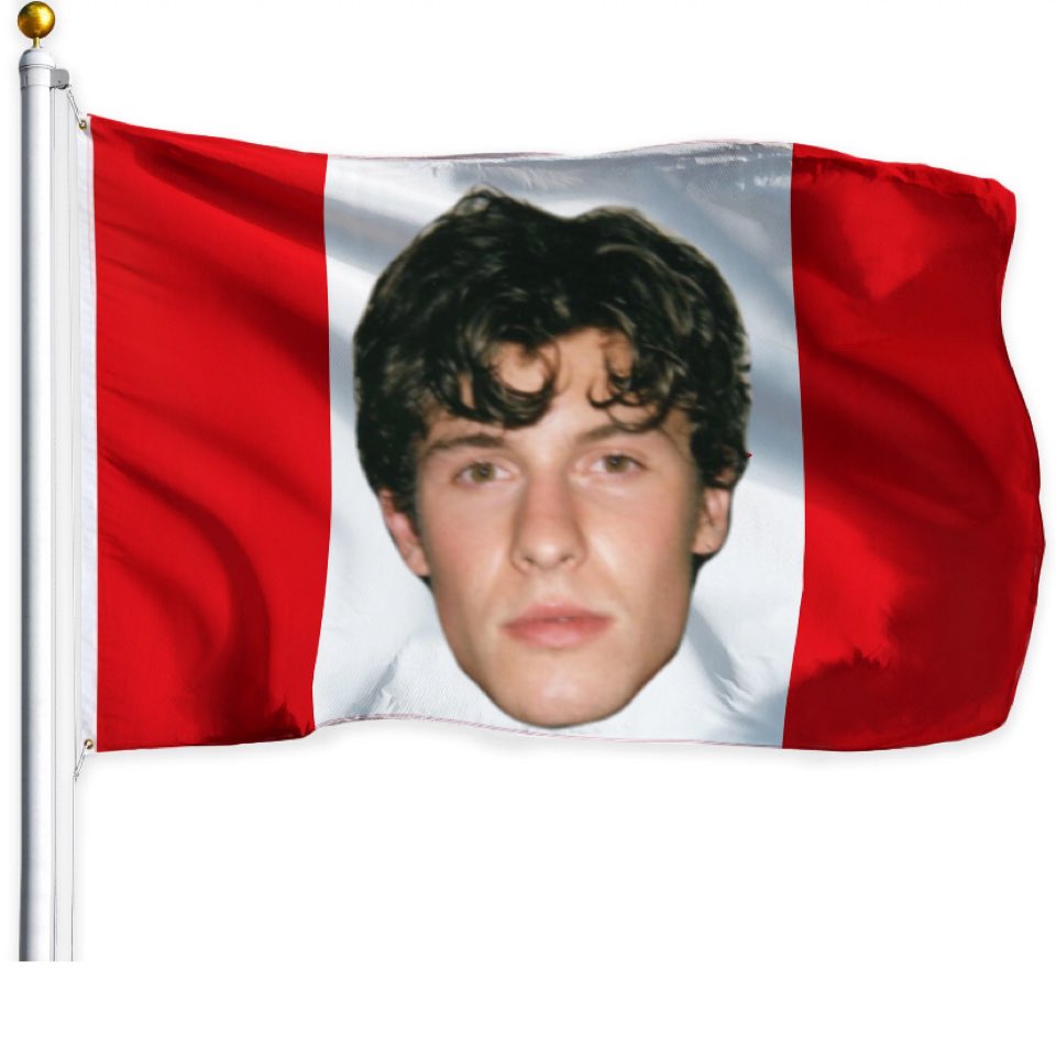 drtankajahari's tweet photo. happy international shawn mendes day https://t.co/jk2e1tsEGQ
