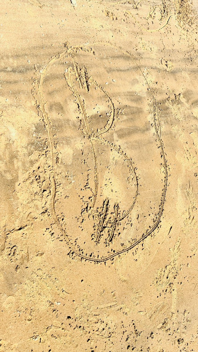 PlanTBasedCoin's tweet image. next generation bitcoiners #agneswaters #1770 #btc #timevalue