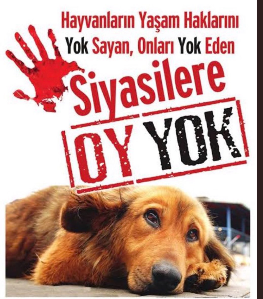 #köpekdüşmanlarınadurde

Oğlumu Tarçınımı Katlettiler