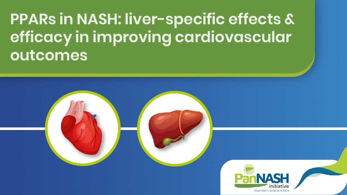 PanNASH_Init's tweet photo. #PPARs may be attractive for the treatment of #NASH due to their #liver-specific effects but also because of their efficacy in improving #cardiovascular outcomes, which may later impact #liverdisease
Read more: https://t.co/ieFhdsgQh2
#CardioTwitter #LiverTwitter #MedEd https://t.co/Z7ThmbgPYn