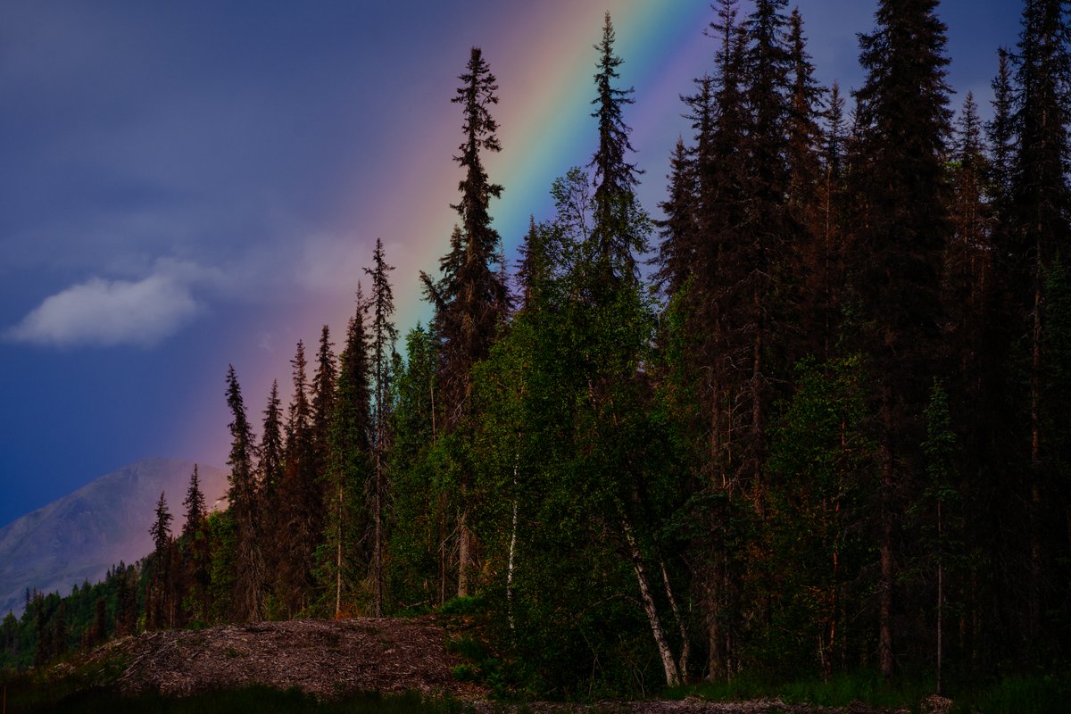 eamonsphotoss's tweet photo. pots of gold https://t.co/UZvs9TKlzQ