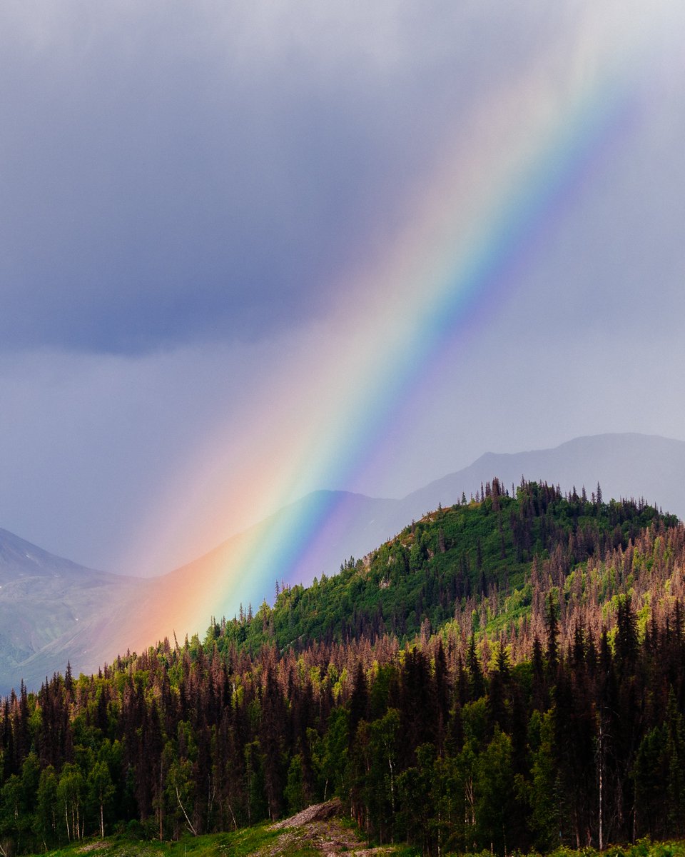 eamonsphotoss's tweet photo. pots of gold https://t.co/UZvs9TKlzQ