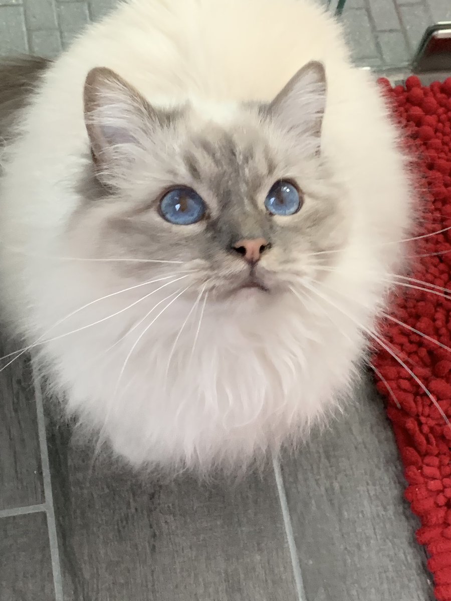 Elizabeth Griffith tweet media