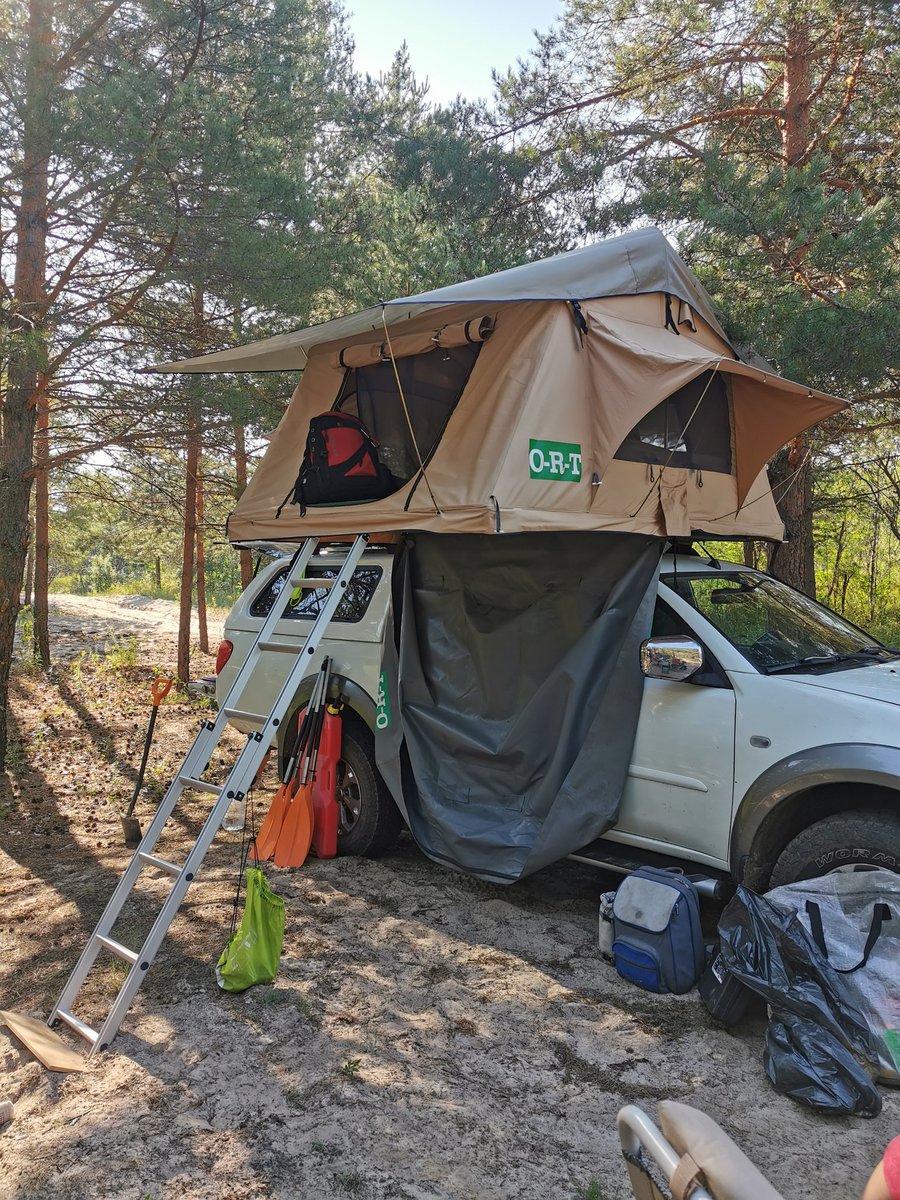 Asia Solo tweet media