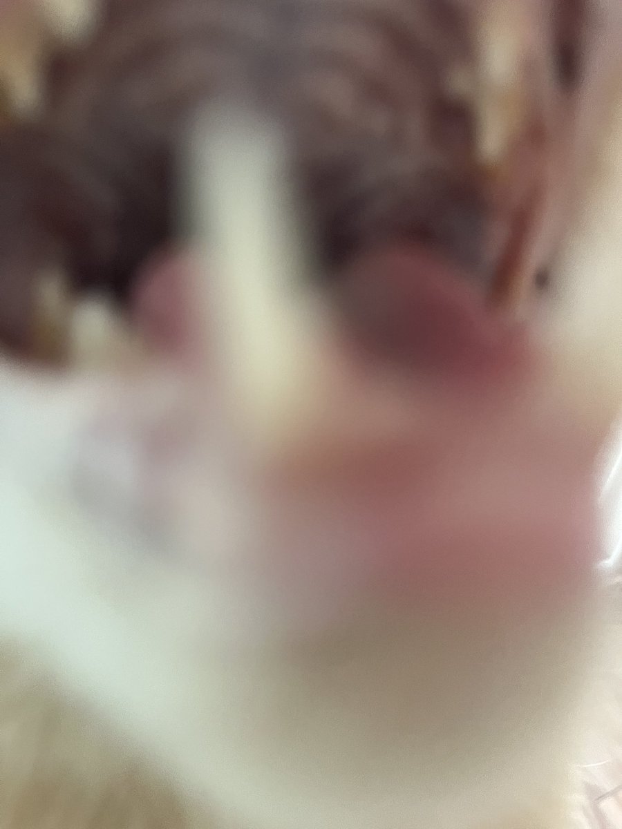 그만 우는 것이 어떨지?