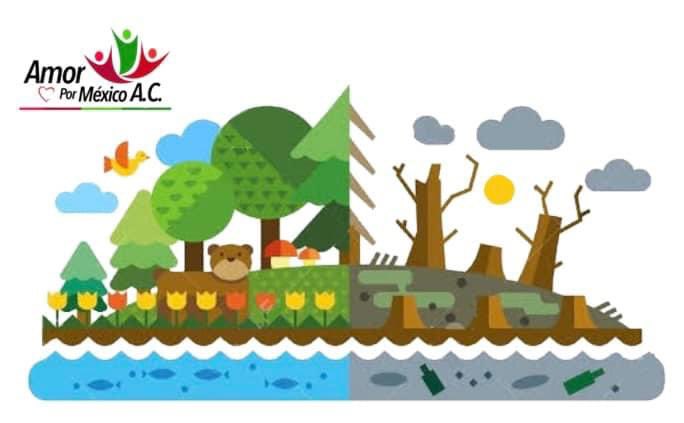 AmorPorMexAC's tweet photo. 🌳 En Amor por México A.C. 💜 Promovemos la prevención y control de la contaminación del agua, del aire y del suelo, la protección al ambiente y la preservación y restauración del equilibrio ecológico con el fin de disminuir el impacto ambiental. #MedioAmbiente ☘️🌾#AmorPorMexico https://t.co/nrFPXp8bN0