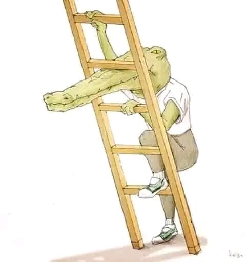 keepprayingbro's tweet image. Thank God I'm not a crocodile 😩