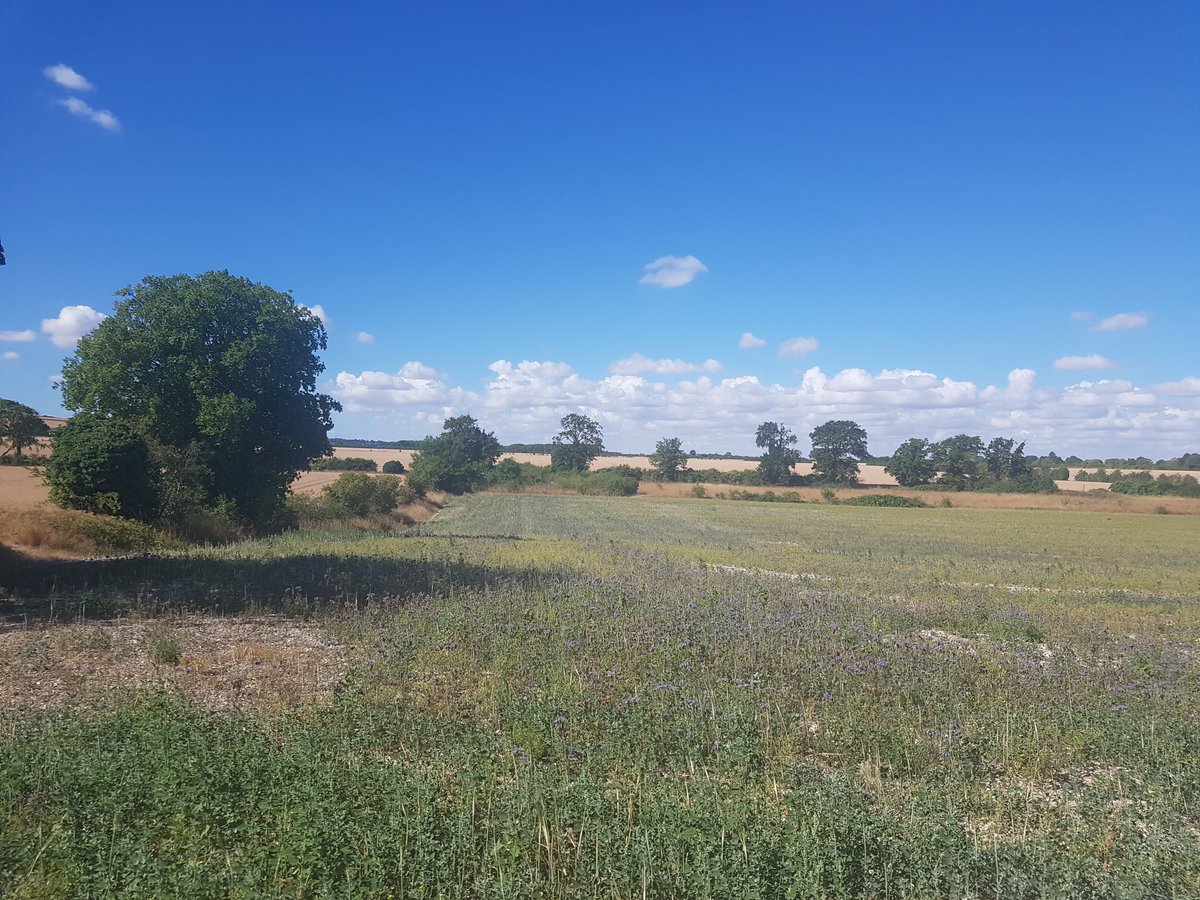 AHPplacements's tweet image. We&apos;re so inspired by all of the #AHPsActive stories and photographs this month. It was even a theme during out #spacesforlistening and #RestandReflect session on Friday! Here&apos;s some pics from our CPF Liz&apos;s weekend :) Anyone else doing #AHPsActive?