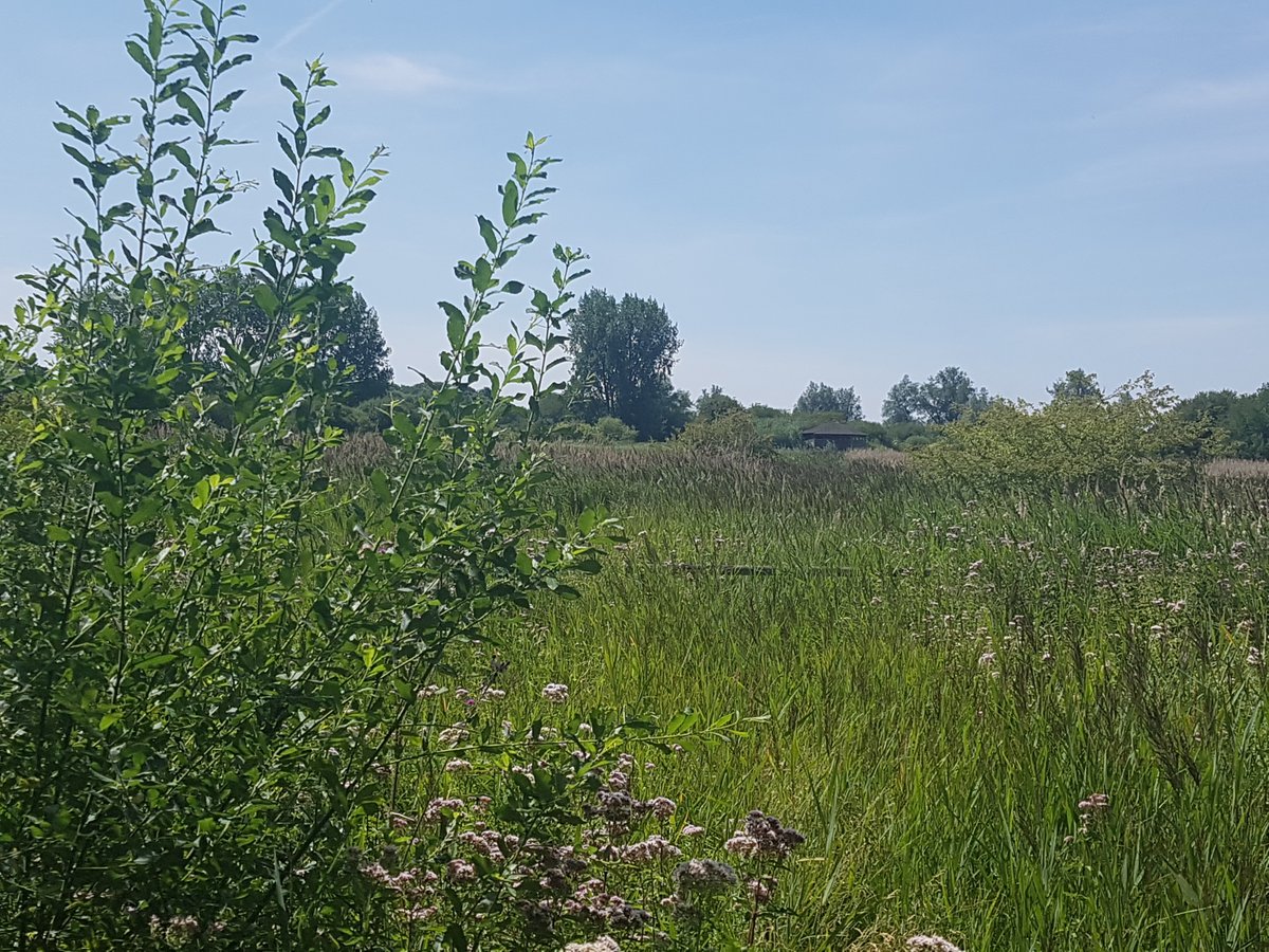 AHPplacements's tweet image. We&apos;re so inspired by all of the #AHPsActive stories and photographs this month. It was even a theme during out #spacesforlistening and #RestandReflect session on Friday! Here&apos;s some pics from our CPF Liz&apos;s weekend :) Anyone else doing #AHPsActive?