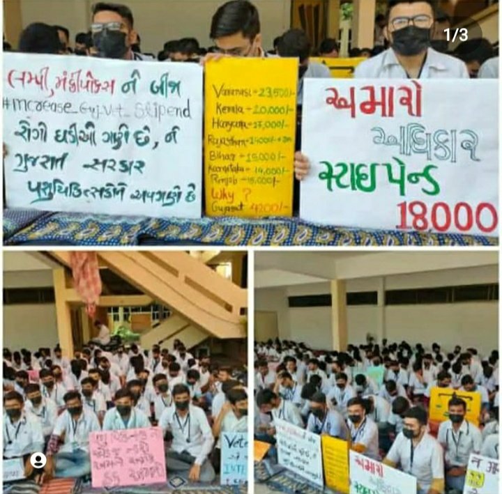 _avanimodi_'s tweet photo. @CMOGuj @imBhupendrasinh 
#increase_Guj_vets_stipend #IncreaseInternshipAllowance https://t.co/AOERRkbzcS