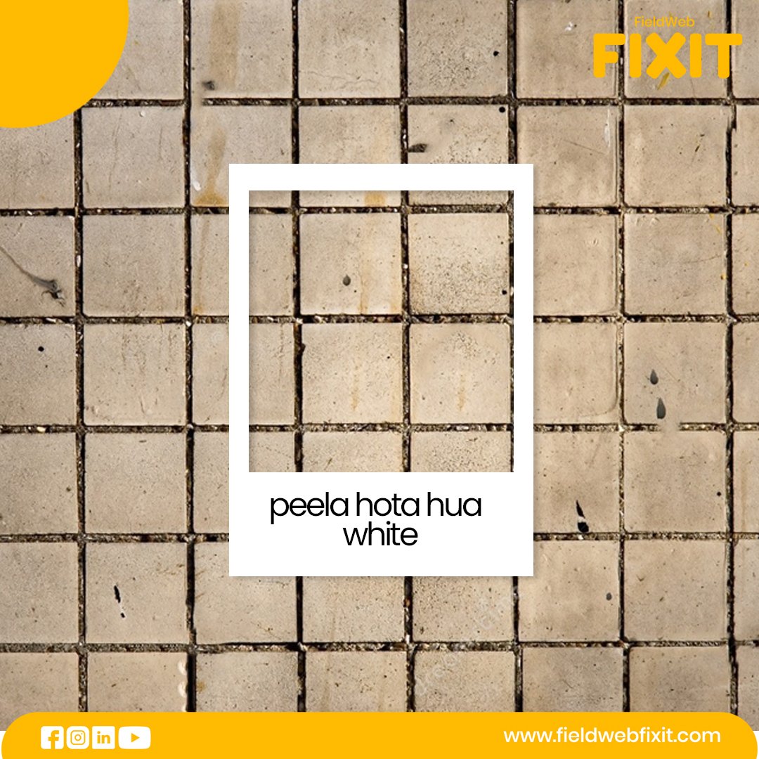fieldwebfixit's tweet photo. Make sure your bathroom has that 'safai ke baad wali chamak' &amp; that can happen only with FieldWeb Fixit.
Get expert home cleaning services now: https://t.co/y8Fd0hxGpB

#fieldwebfixit #Services #home #ThankYou #disqualified #Trending #sundayvibes #mondaythoughts #MondayMotivation https://t.co/l7bpPaDm1d