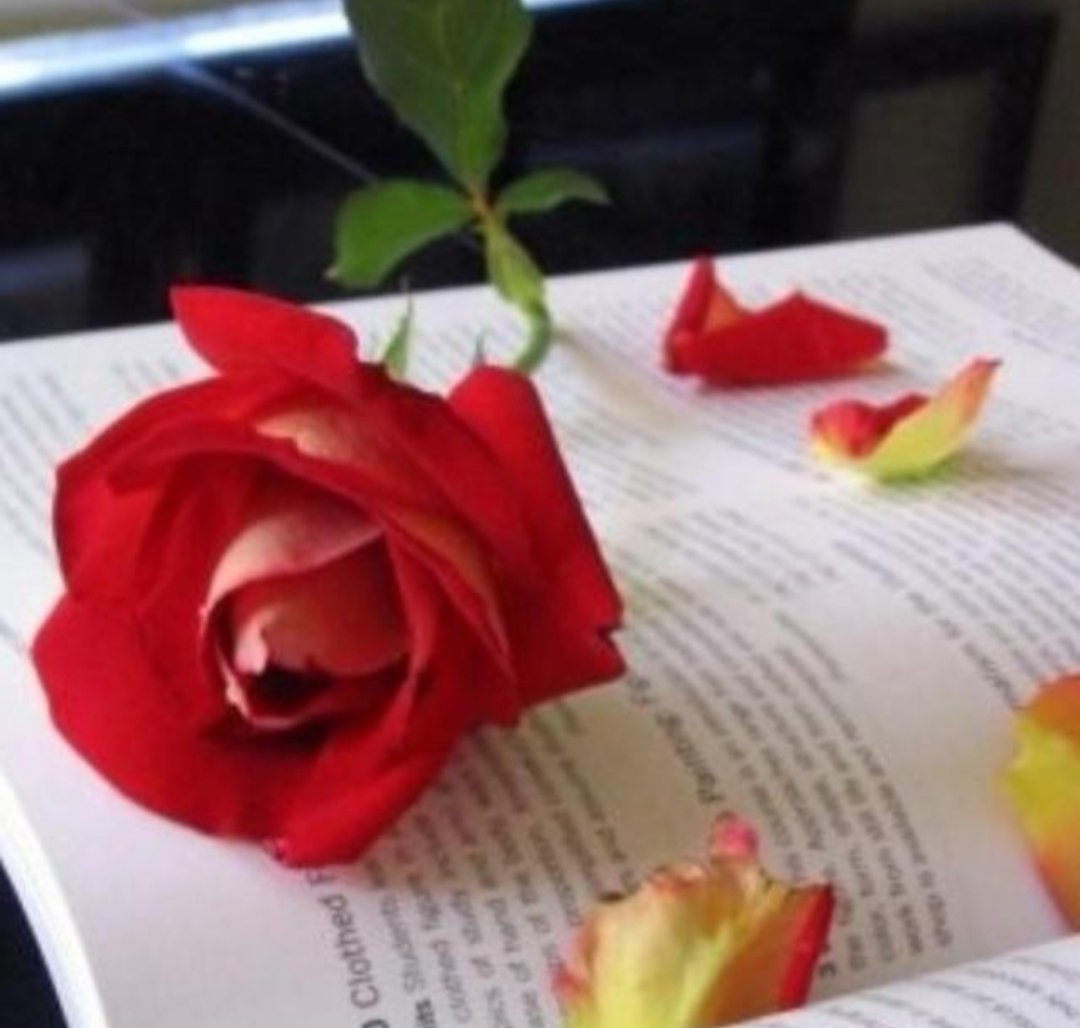 أنتبه تخليني لغيرك وأنا .. أبيك