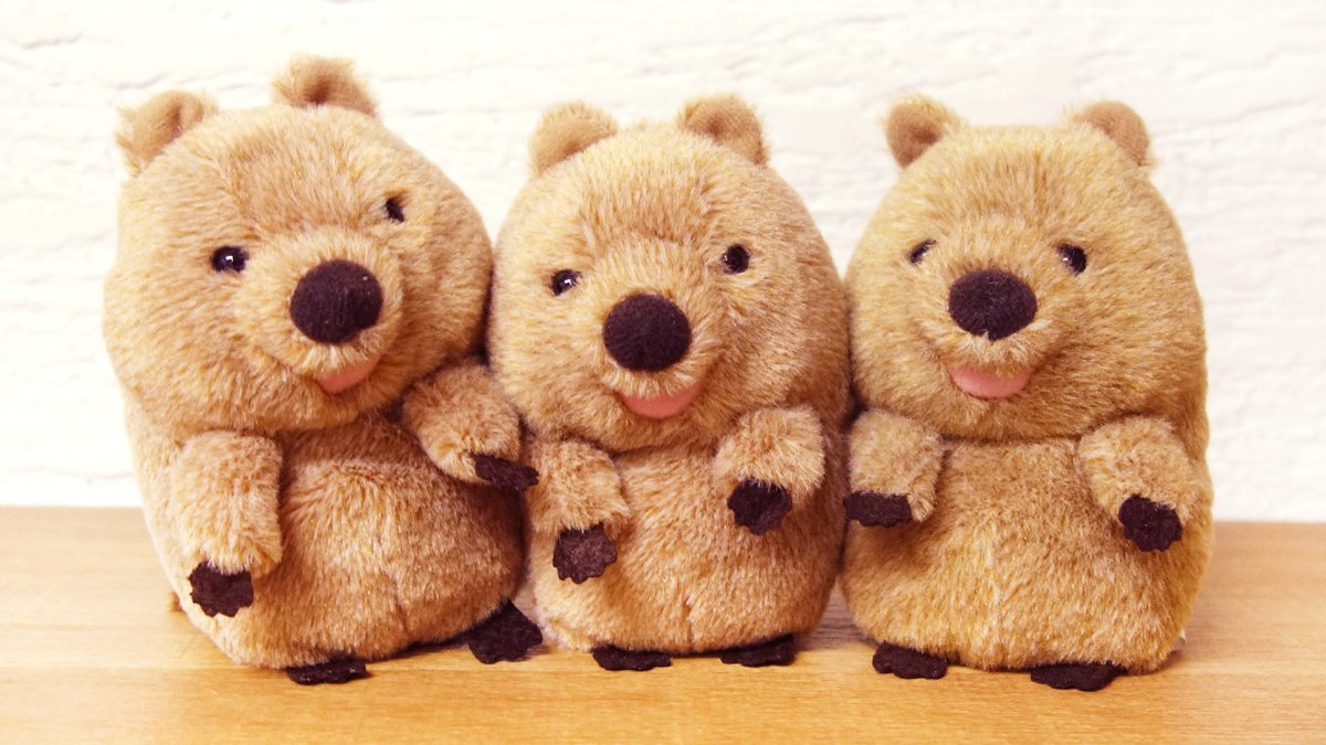 世界一幸せな動物」として知られる、 クオッカワラビーのぬいぐるみ