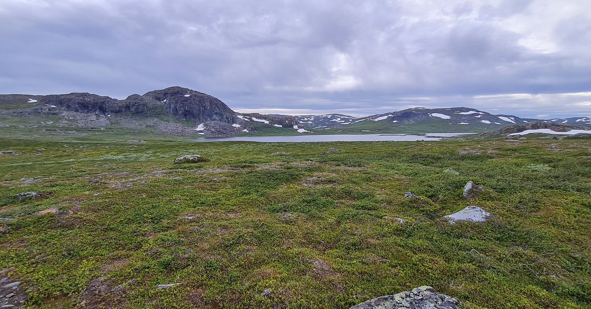 First hour back at work and I'm already dreaming about going back to the mountains.. dang it!