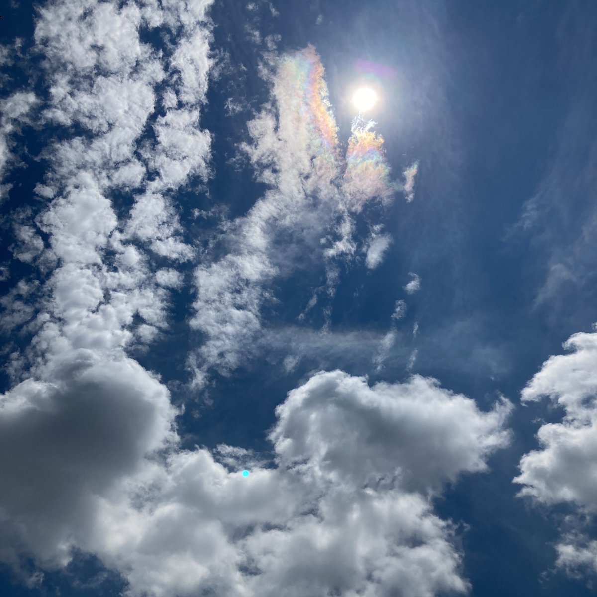japan_wanderer's tweet photo. #Corona and #iridescent cloud display over #Tokyo today.
@StormHour #CloudAppSoc #ThePhotoHour https://t.co/seJRH2NlA9