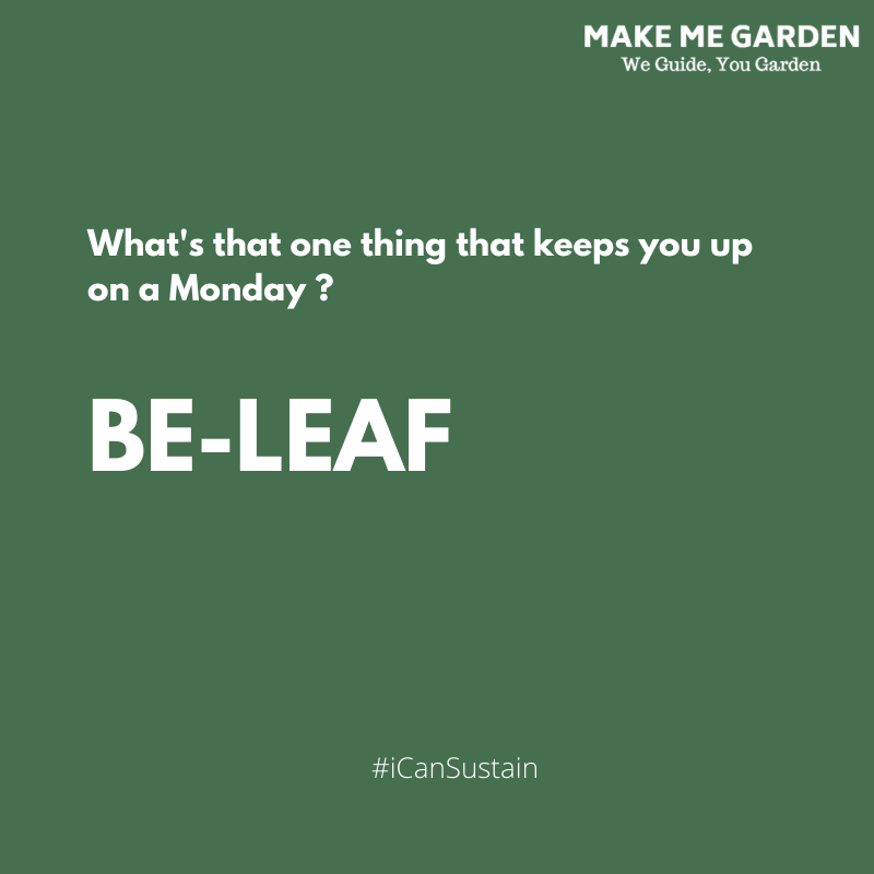 makemegarden's tweet photo. Not without Puns and Banters on a Monday! 😉 

Just Make the Most of the Day and Be-Leaf the Nature always! 💖 

#MakeMeGarden #MondayMotivation https://t.co/PwglYSkdEZ