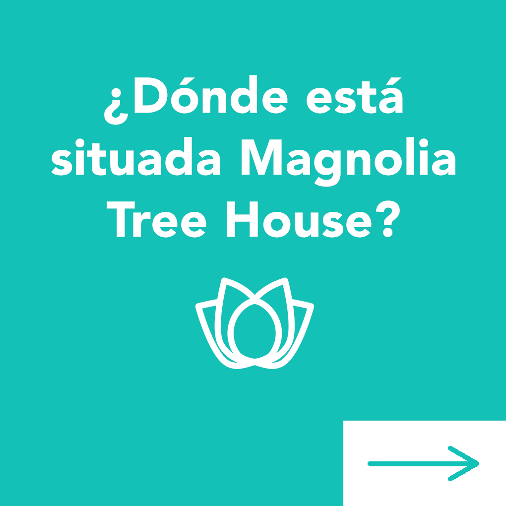 TreeMagnolia tweet picture