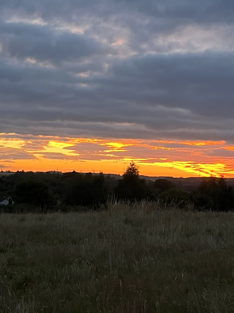 Jacqui jones tweet media