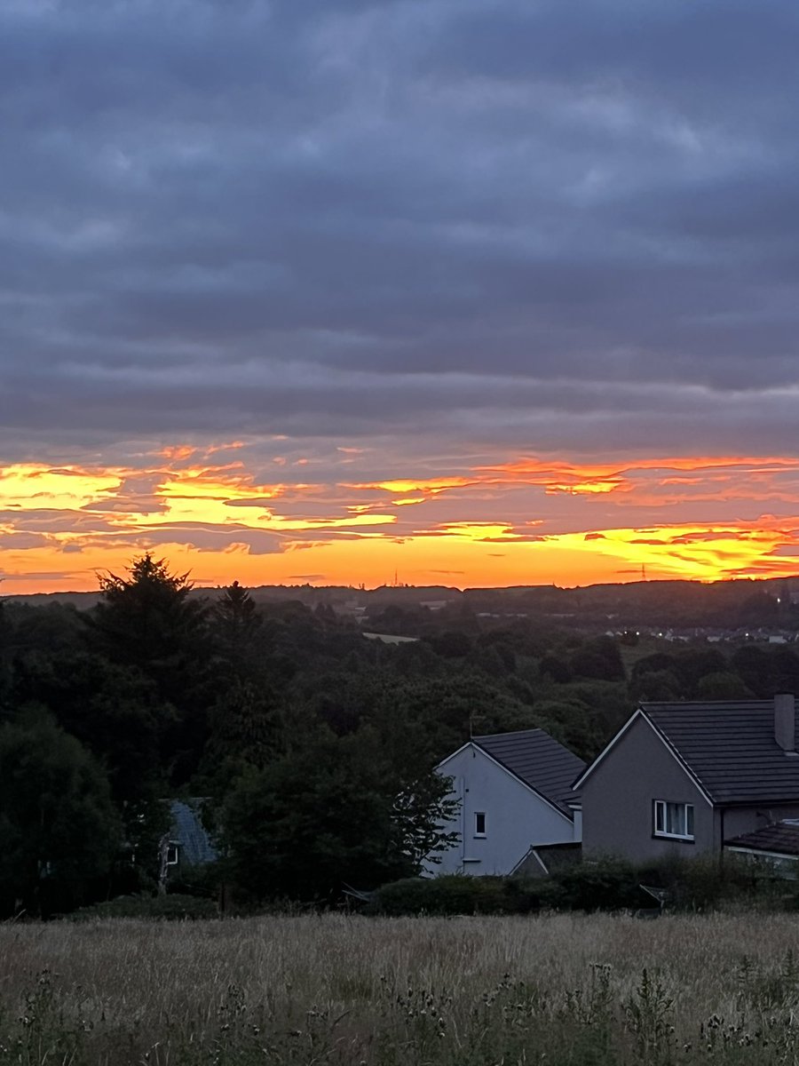 Jacqui jones tweet media