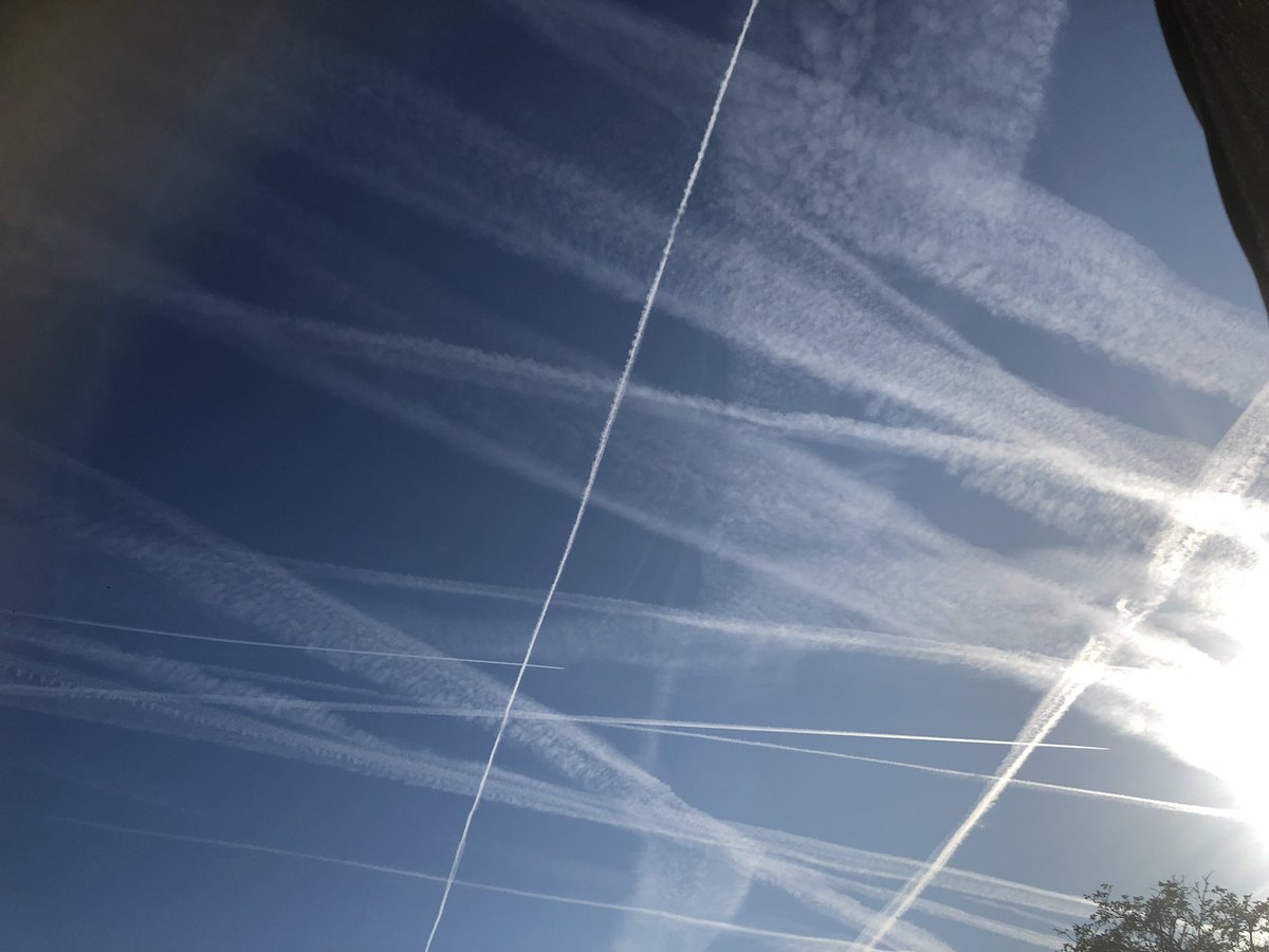 Luc Roosen tweet media