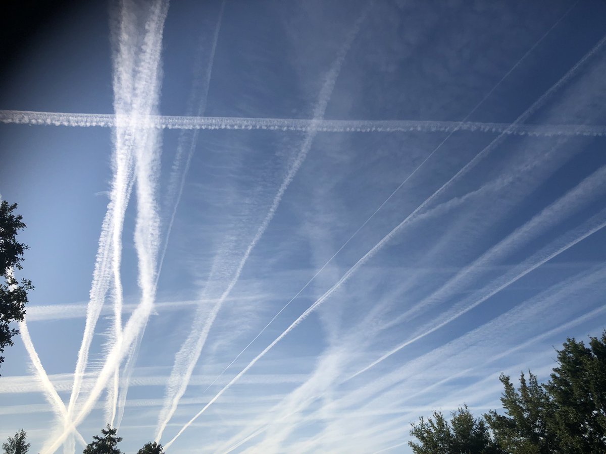 Luc Roosen tweet media