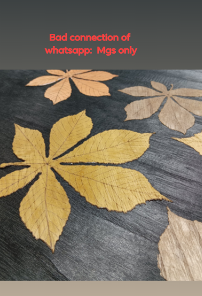 tinawangfr's tweet photo. Please contact us by email, bad connection of whatsapp.  Thank you. https://t.co/h8yxHYHWMz