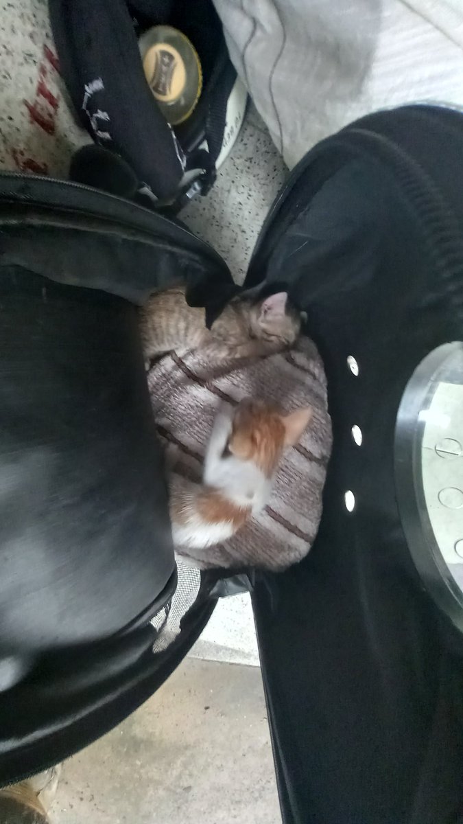 Justpyrogaming tweet media