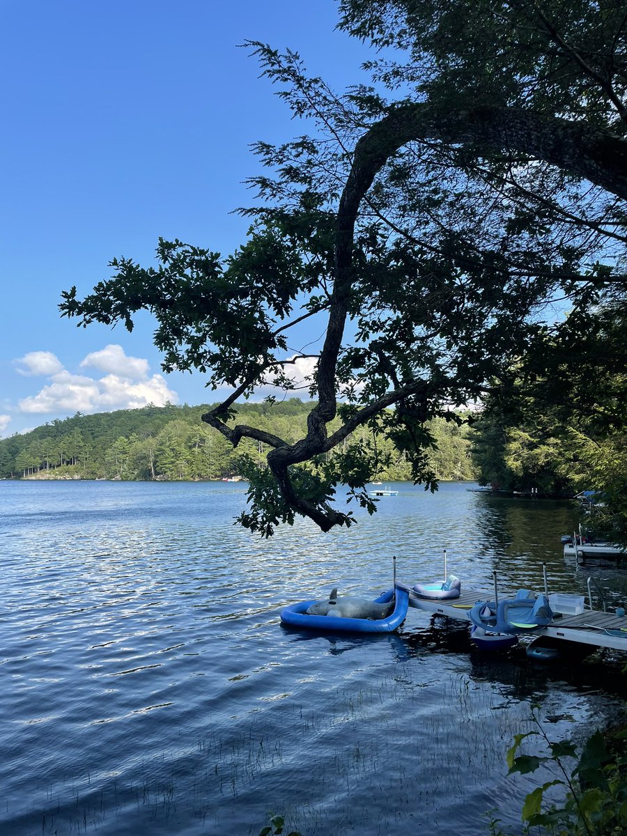 Marguerite M. Rivas tweet media