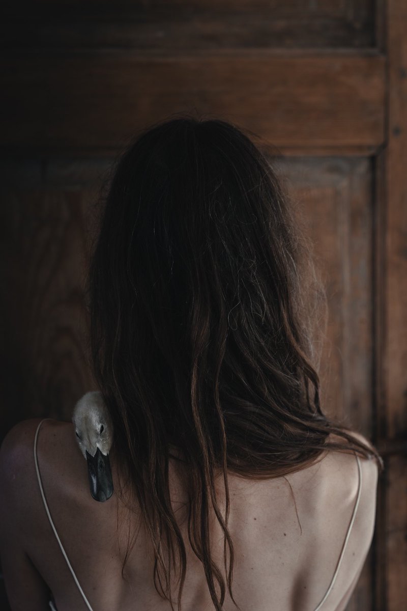 Gm and happy new week! 🤍🍂

"Summer with Nemo" from the <a href="/light_artists/">LIGHT.ART</a> Alpha collection, owned by <a href="/EliaLocardi/">Elia Locardi</a>