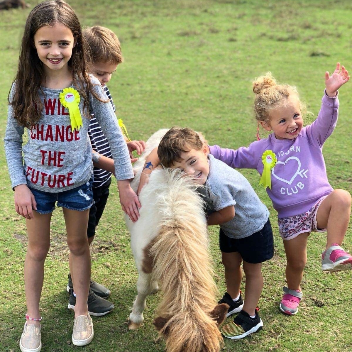 MiniPonyDevon's tweet image. Have you seen our new blog - Our top 10 family moments to have at The Miniature Pony Centre?

l8r.it/jcaC

#devon #dartmoor #exeter #plymouth #southdevon #theminiatureponycentre #zoo #farm #animals #horses #horselove #thisisdevon