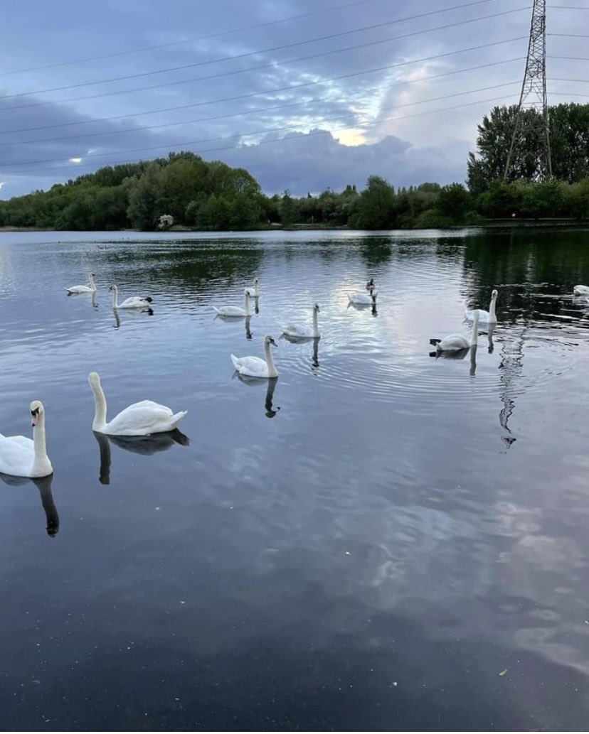Open Swim UK tweet media