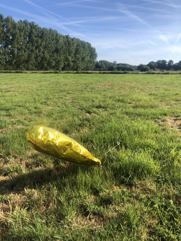 TheoQuekel tweet media