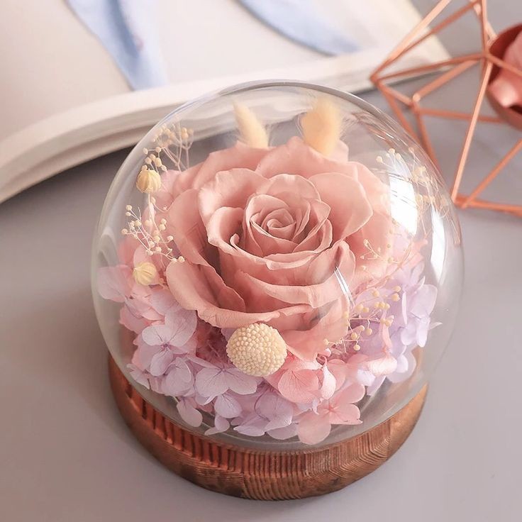 When we give cheerfully and accept gratefully, everyone is blessed. -Maya Angelou