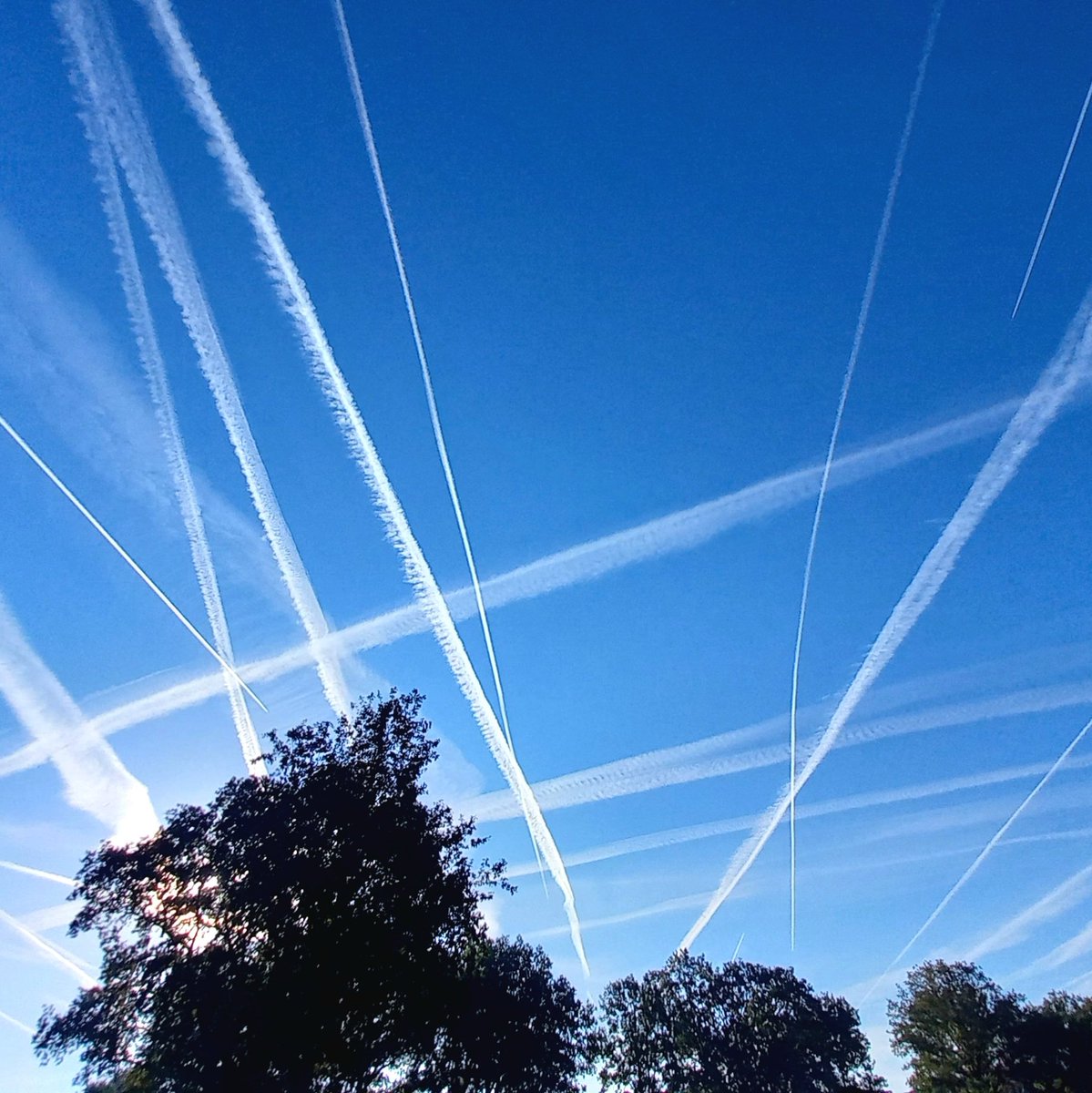 Vandaag goed te zien dat we de #klimaatcrisis niet gaan oplossen. #vliegtuigstrepen #opwarming