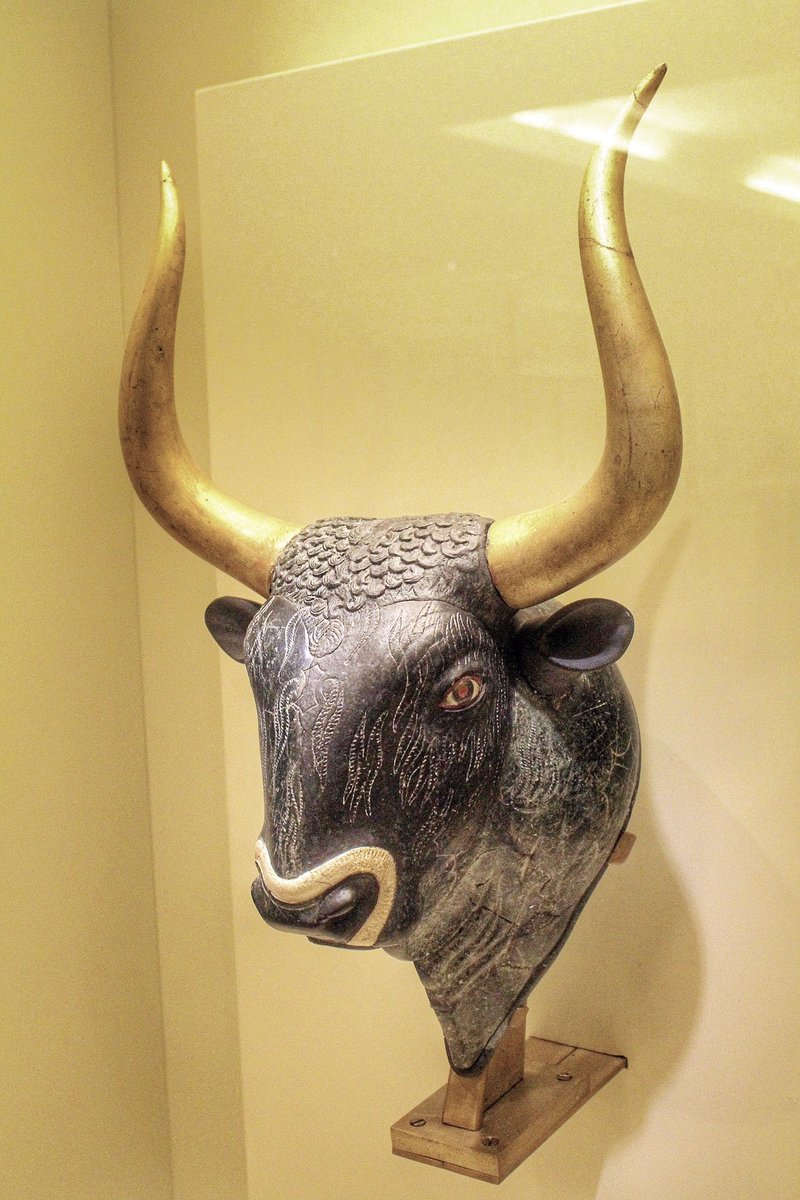 AlAlbaNovela's tweet photo. "Heleno extrajo la segunda figura de entre la paja. Era una cabeza de toro tallada en piedra oscura" #AlAlba #novelahistórica #Aqueos #Minoicos #Creta #EdaddelBronce #Toros Más en https://t.co/MPxoGggQ1u https://t.co/VPnjySMvy1
