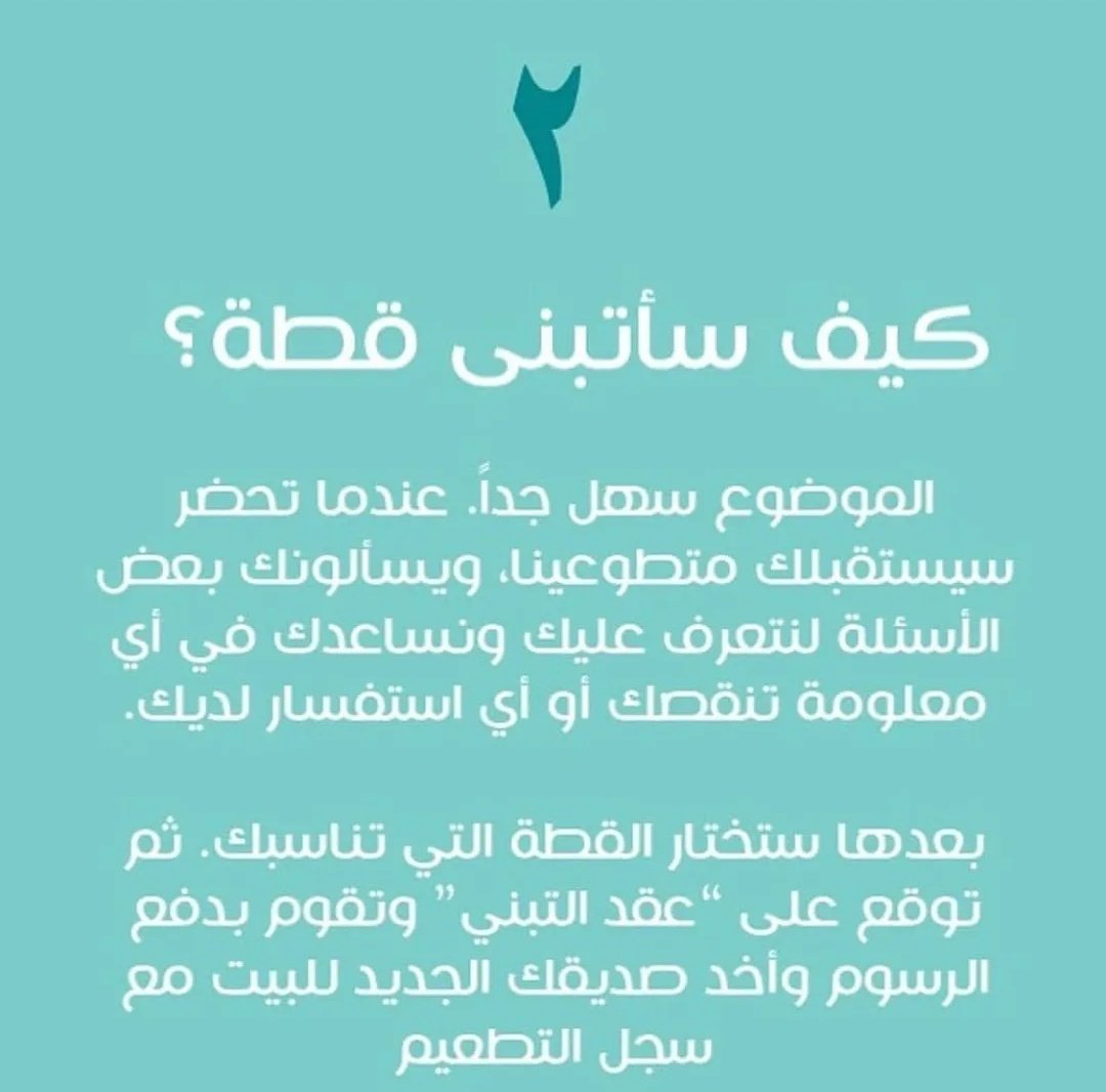 RiyadhCats tweet media