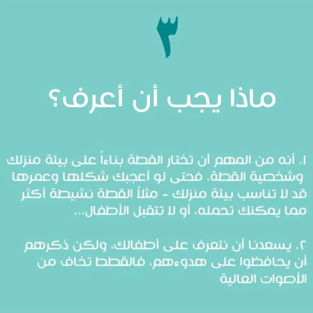 RiyadhCats tweet media