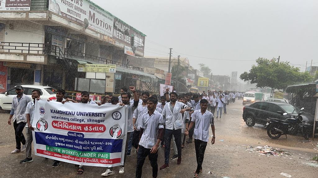 આજરોજ હડતાલના સાતમા દિવસે દાંતીવાડા વેટરીનરી કોલેજ કામધેનુ યૂનિ. ના વિધાર્થીઓએ ધોધમાર વરસાદની વચ્ચે રેલી યોજી મામલતદાર શ્રીને ફરી આવેદનપત્ર આપી, અમારી માંગ સ્વીકારવા રજૂઆત કરી.
<a href="/CMOGuj/">CMO Gujarat</a> <a href="/Bhupendrapbjp/">Bhupendra Patel</a> 
<a href="/RaghavjiPatel/">Raghavji Patel</a> <a href="/KanuDesai180/">Kanu Desai</a>
#Increase_Guj_Vet_Stipend
#Guj_vet_union
