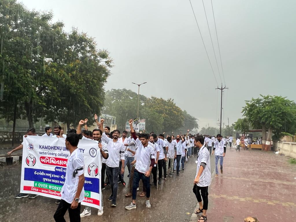 DIYAPAT95061971's tweet photo. આજરોજ હડતાલના સાતમા દિવસે દાંતીવાડા વેટરીનરી કોલેજ કામધેનુ યૂનિ. ના વિધાર્થીઓએ ધોધમાર વરસાદની વચ્ચે રેલી યોજી મામલતદાર શ્રીને ફરી આવેદનપત્ર આપી, અમારી માંગ સ્વીકારવા રજૂઆત કરી.
@CMOGuj @Bhupendrapbjp 
@RaghavjiPatel @KanuDesai180
#Increase_Guj_Vet_Stipend
#Guj_vet_union https://t.co/RfL4Wrna09